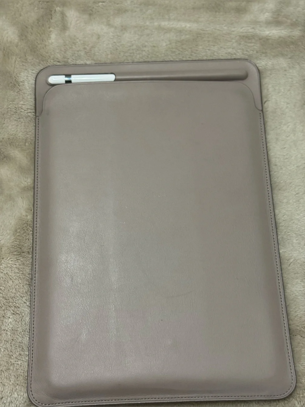 iPad Pro 10.5-inch Leather Case
